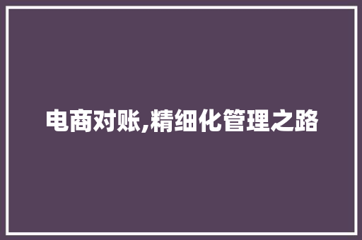 电商对账,精细化管理之路