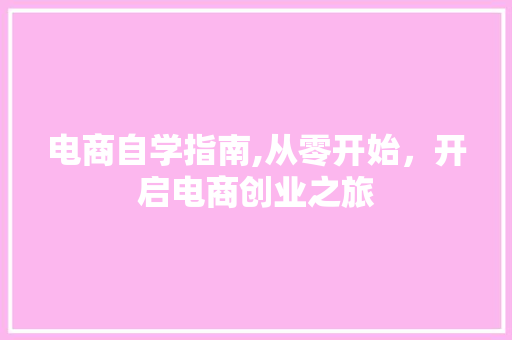 电商自学指南,从零开始，开启电商创业之旅