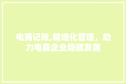 电商记账,精细化管理，助力电商企业稳健发展