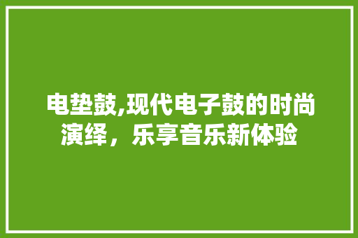 电垫鼓,现代电子鼓的时尚演绎，乐享音乐新体验