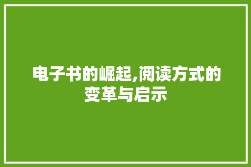 电子书的崛起,阅读方式的变革与启示
