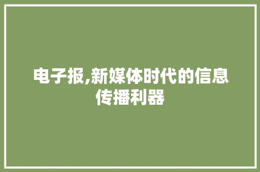 电子报,新媒体时代的信息传播利器 建站教程
