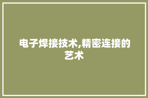 电子焊接技术,精密连接的艺术