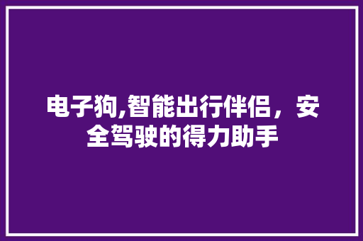 电子狗,智能出行伴侣，安全驾驶的得力助手