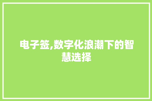 电子签,数字化浪潮下的智慧选择