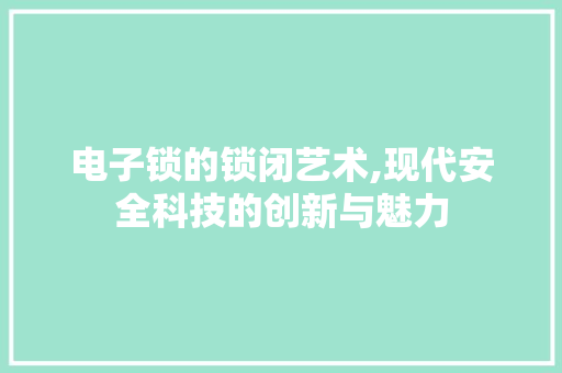电子锁的锁闭艺术,现代安全科技的创新与魅力