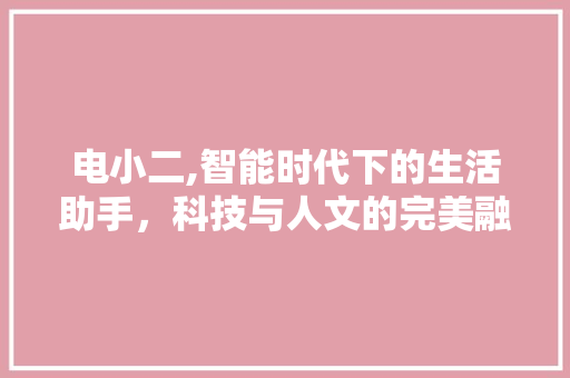 电小二,智能时代下的生活助手，科技与人文的完美融合