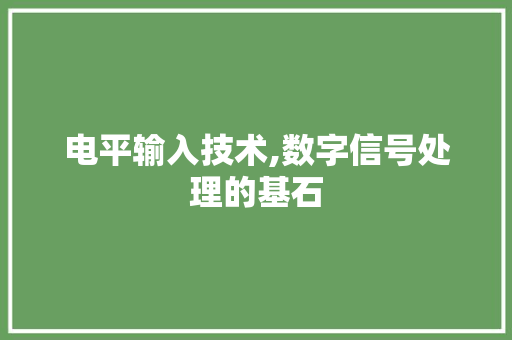 电平输入技术,数字信号处理的基石