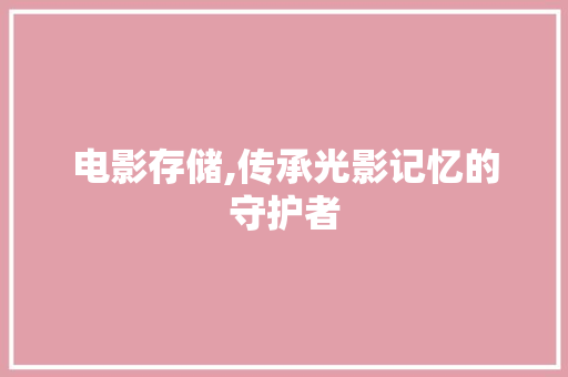 电影存储,传承光影记忆的守护者 Web前端