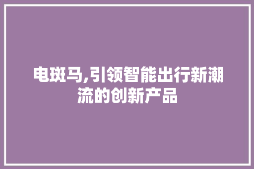 电斑马,引领智能出行新潮流的创新产品