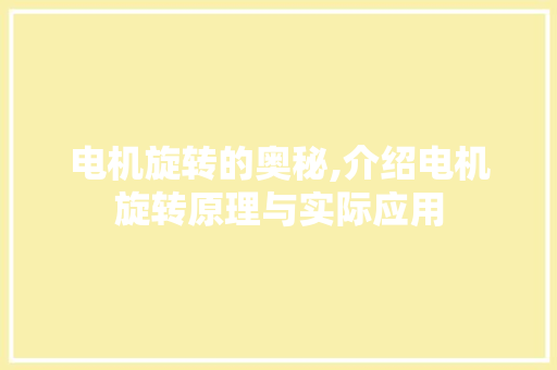 电机旋转的奥秘,介绍电机旋转原理与实际应用