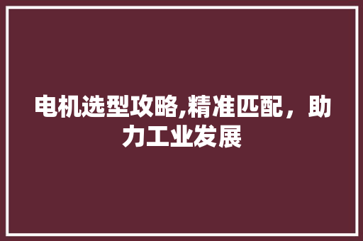 电机选型攻略,精准匹配，助力工业发展