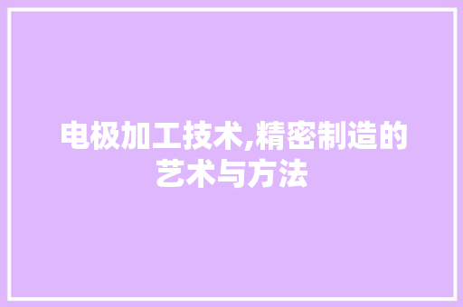 电极加工技术,精密制造的艺术与方法
