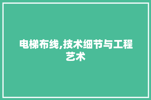电梯布线,技术细节与工程艺术
