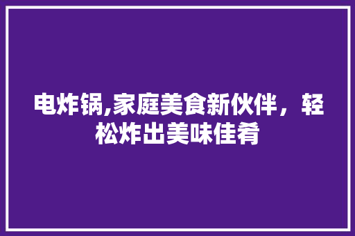 电炸锅,家庭美食新伙伴，轻松炸出美味佳肴 建站教程
