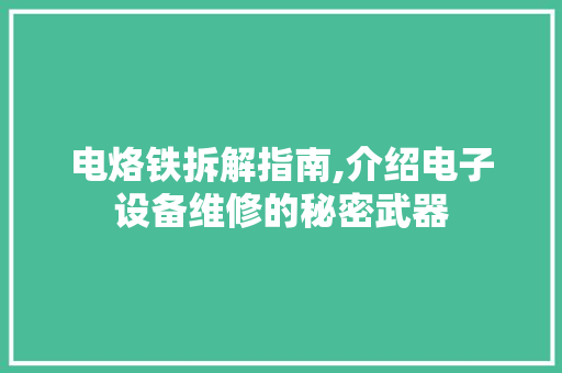 电烙铁拆解指南,介绍电子设备维修的秘密武器 SEO教程