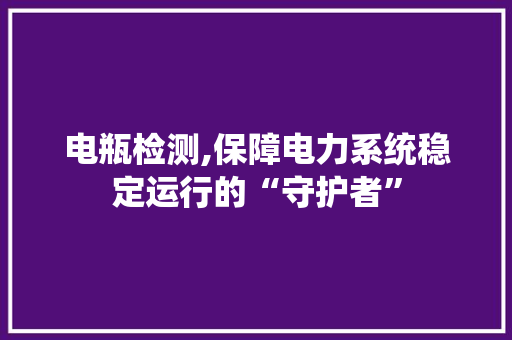 电瓶检测,保障电力系统稳定运行的“守护者”