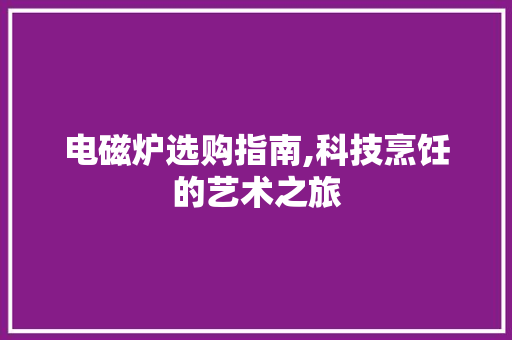 电磁炉选购指南,科技烹饪的艺术之旅