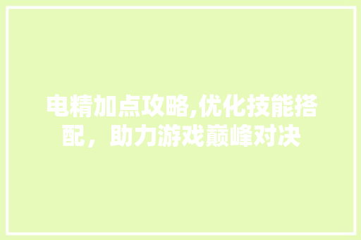 电精加点攻略,优化技能搭配，助力游戏巅峰对决