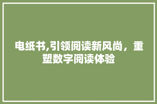 电纸书,引领阅读新风尚，重塑数字阅读体验