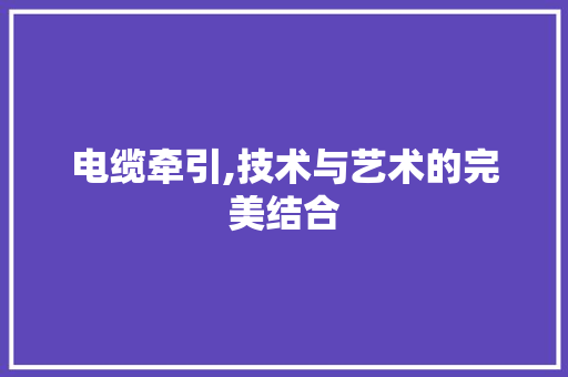 电缆牵引,技术与艺术的完美结合