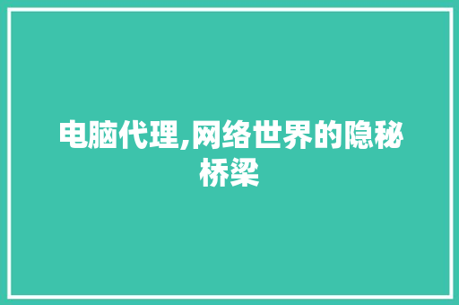 电脑代理,网络世界的隐秘桥梁