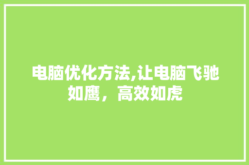 电脑优化方法,让电脑飞驰如鹰，高效如虎