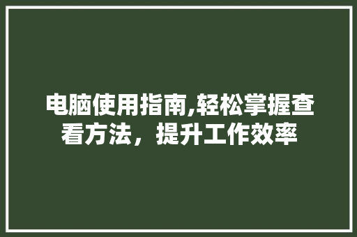 电脑使用指南,轻松掌握查看方法，提升工作效率 SEO教程