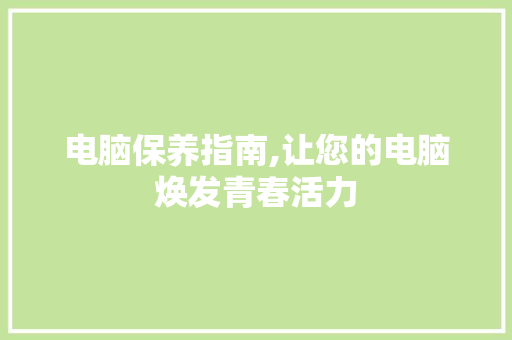 电脑保养指南,让您的电脑焕发青春活力