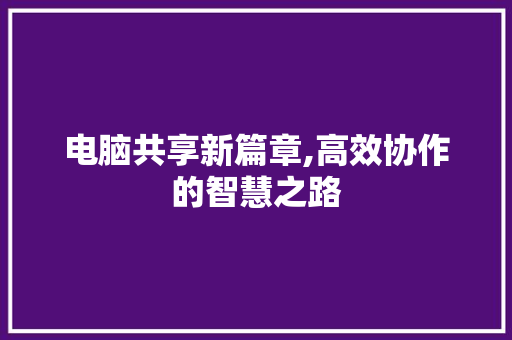 电脑共享新篇章,高效协作的智慧之路