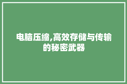 电脑压缩,高效存储与传输的秘密武器