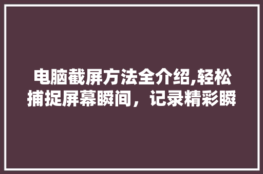 电脑截屏方法全介绍,轻松捕捉屏幕瞬间，记录精彩瞬间