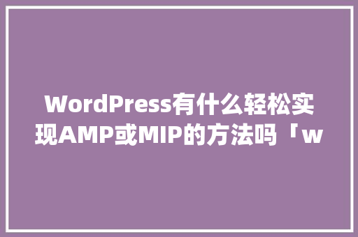 WordPress有什么轻松实现AMP或MIP的方法吗「wordpress教程 全套」 WordPress有什么轻松实现AMP或MIP的方法吗「wordpress教程 全套」 Web前端