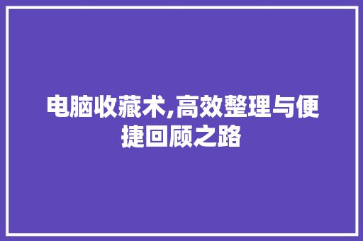 电脑收藏术,高效整理与便捷回顾之路 WordPress教程