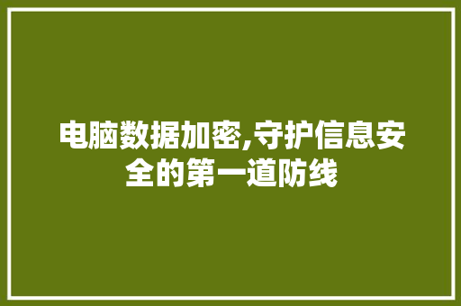 电脑数据加密,守护信息安全的第一道防线