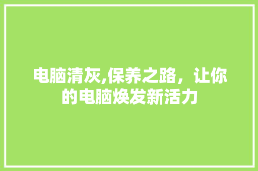 电脑清灰,保养之路，让你的电脑焕发新活力