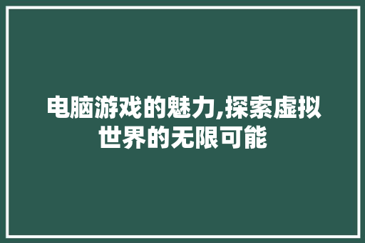 电脑游戏的魅力,探索虚拟世界的无限可能