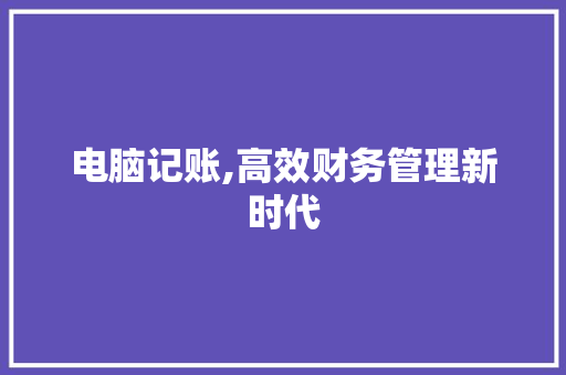 电脑记账,高效财务管理新时代 建站教程