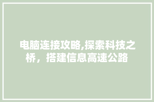 电脑连接攻略,探索科技之桥，搭建信息高速公路
