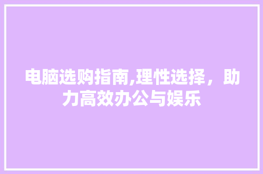 电脑选购指南,理性选择，助力高效办公与娱乐