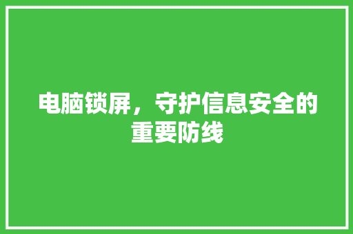 电脑锁屏，守护信息安全的重要防线