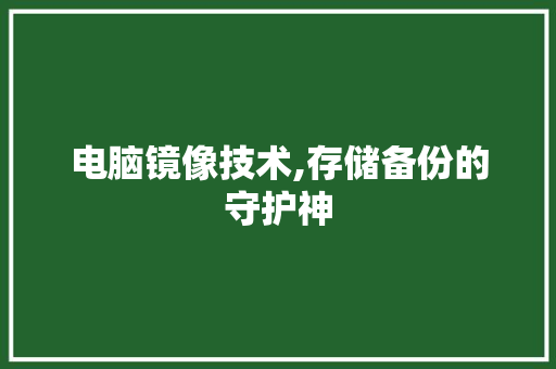 电脑镜像技术,存储备份的守护神