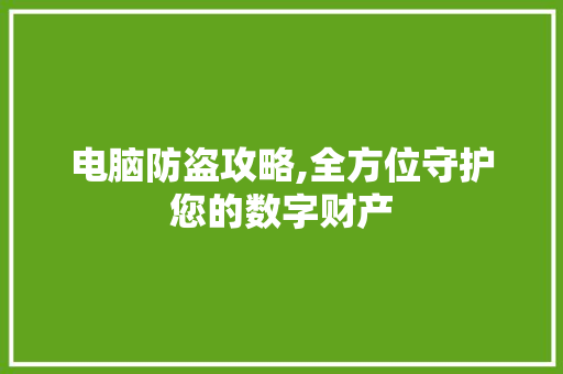 电脑防盗攻略,全方位守护您的数字财产