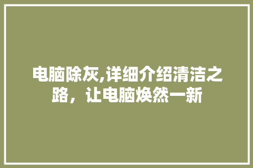 电脑除灰,详细介绍清洁之路，让电脑焕然一新
