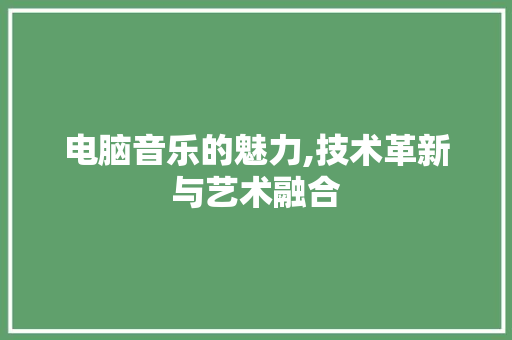 电脑音乐的魅力,技术革新与艺术融合