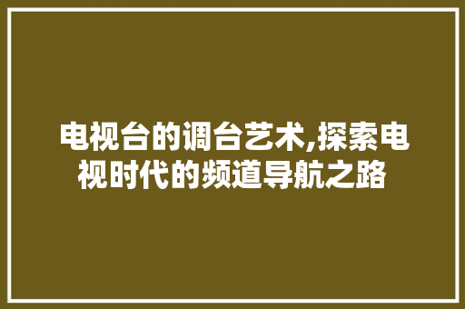 电视台的调台艺术,探索电视时代的频道导航之路 Web前端
