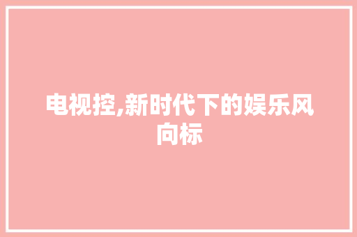 电视控,新时代下的娱乐风向标