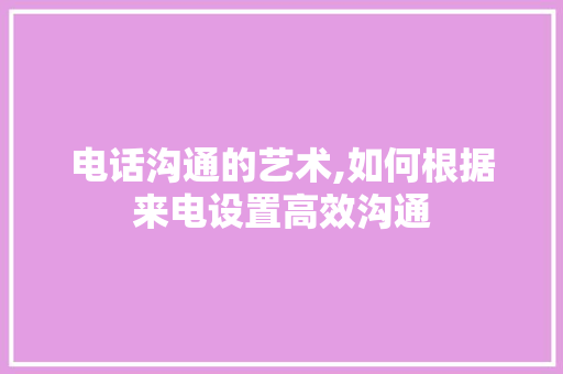 电话沟通的艺术,如何根据来电设置高效沟通