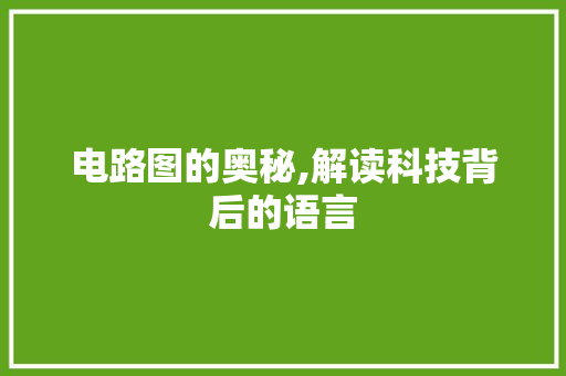 电路图的奥秘,解读科技背后的语言