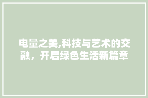 电量之美,科技与艺术的交融，开启绿色生活新篇章 服务器/数据库